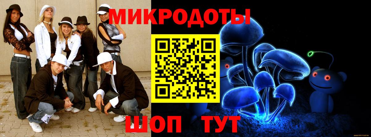 Псилоцибиновые грибы мухоморы Владимир