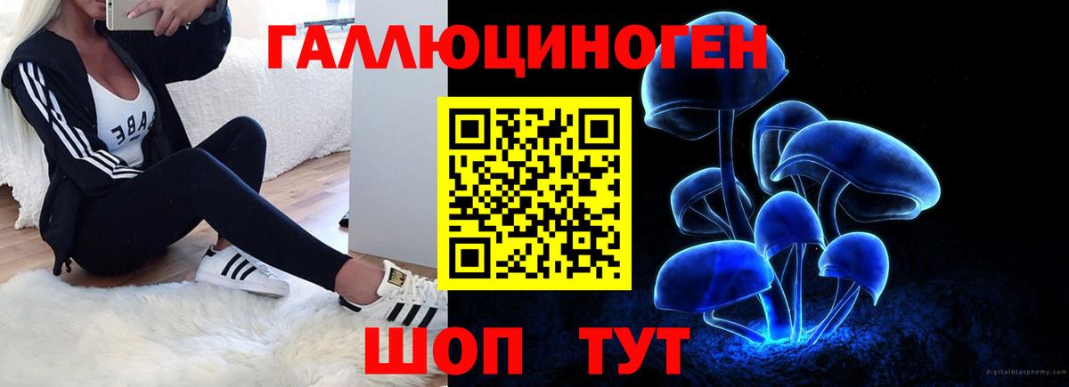 ГАШ Владимир